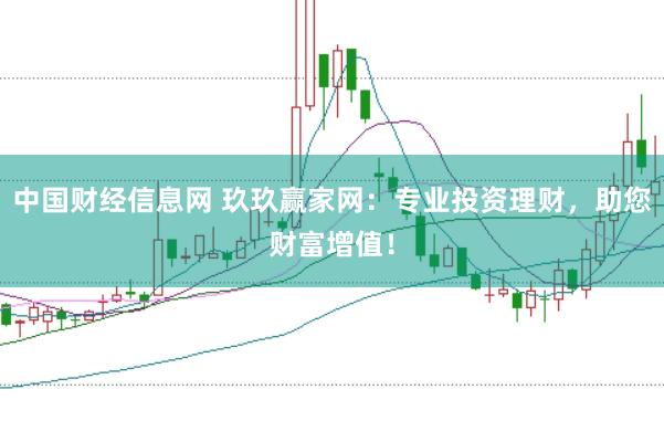 中国财经信息网 玖玖赢家网：专业投资理财，助您财富增值！