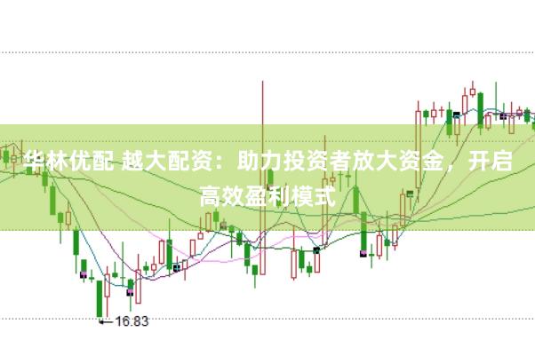 华林优配 越大配资：助力投资者放大资金，开启高效盈利模式