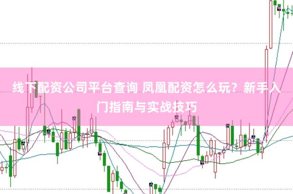 线下配资公司平台查询 凤凰配资怎么玩？新手入门指南与实战技巧