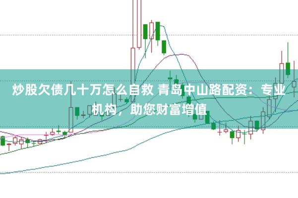 炒股欠债几十万怎么自救 青岛中山路配资：专业机构，助您财富增值