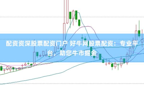 配资资深股票配资门户 好牛网股票配资：专业平台，助您牛市掘金