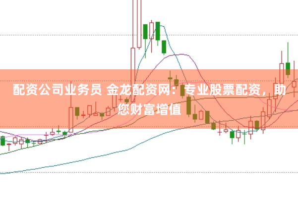 配资公司业务员 金龙配资网：专业股票配资，助您财富增值