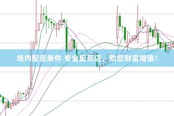 场内配资条件 专业配资店，助您财富增值！