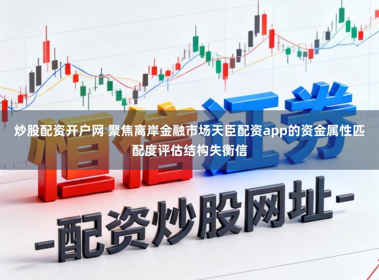 炒股配资开户网 聚焦离岸金融市场天臣配资app的资金属性匹配度评估结构失衡信