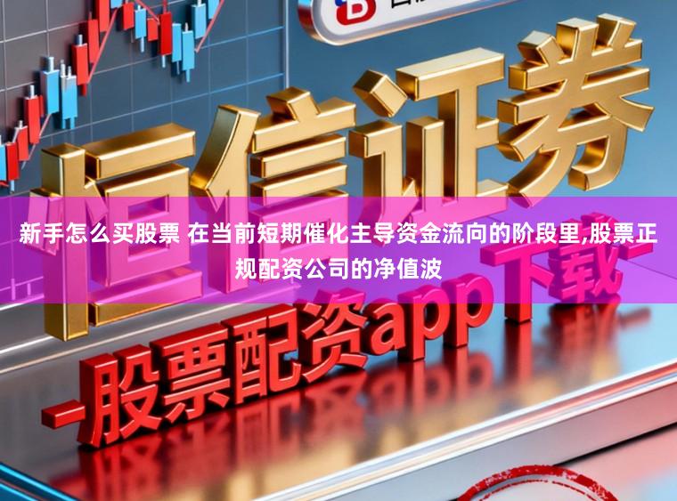 新手怎么买股票 在当前短期催化主导资金流向的阶段里,股票正规配资公司的净值波