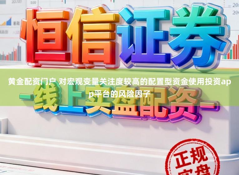 黄金配资门户 对宏观变量关注度较高的配置型资金使用投资app平台的风险因子