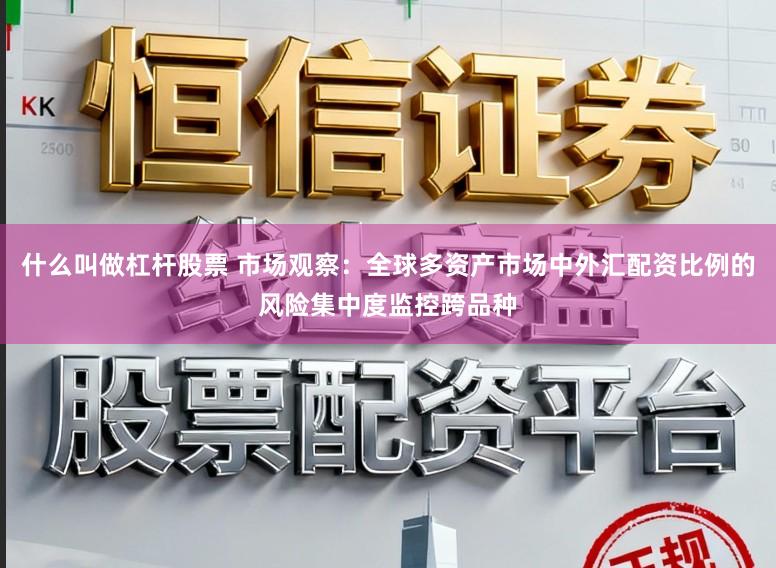 什么叫做杠杆股票 市场观察：全球多资产市场中外汇配资比例的风险集中度监控跨品种