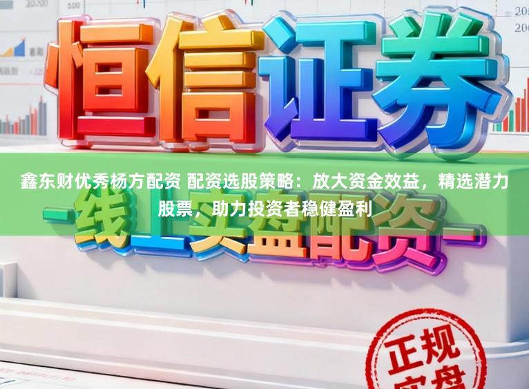 鑫东财优秀杨方配资 配资选股策略：放大资金效益，精选潜力股票，助力投资者稳健盈利